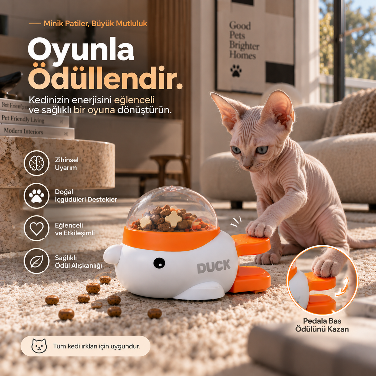 Köpek Kedi Eğitim ve Ödül Oyuncağı